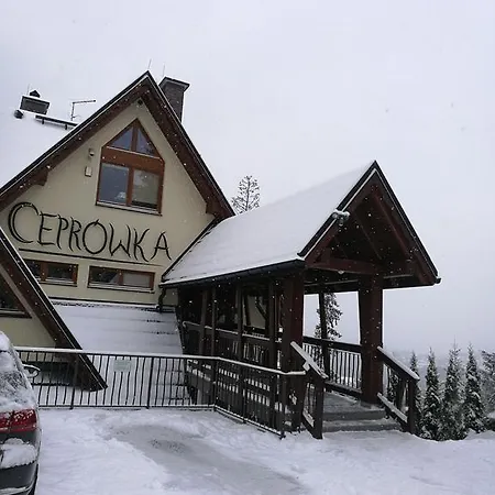 Apartament Z Kogutem Zakopane Eksteriør bilde