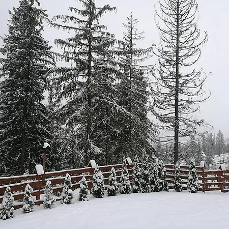 Apartament Z Kogutem Zakopane Eksteriør bilde