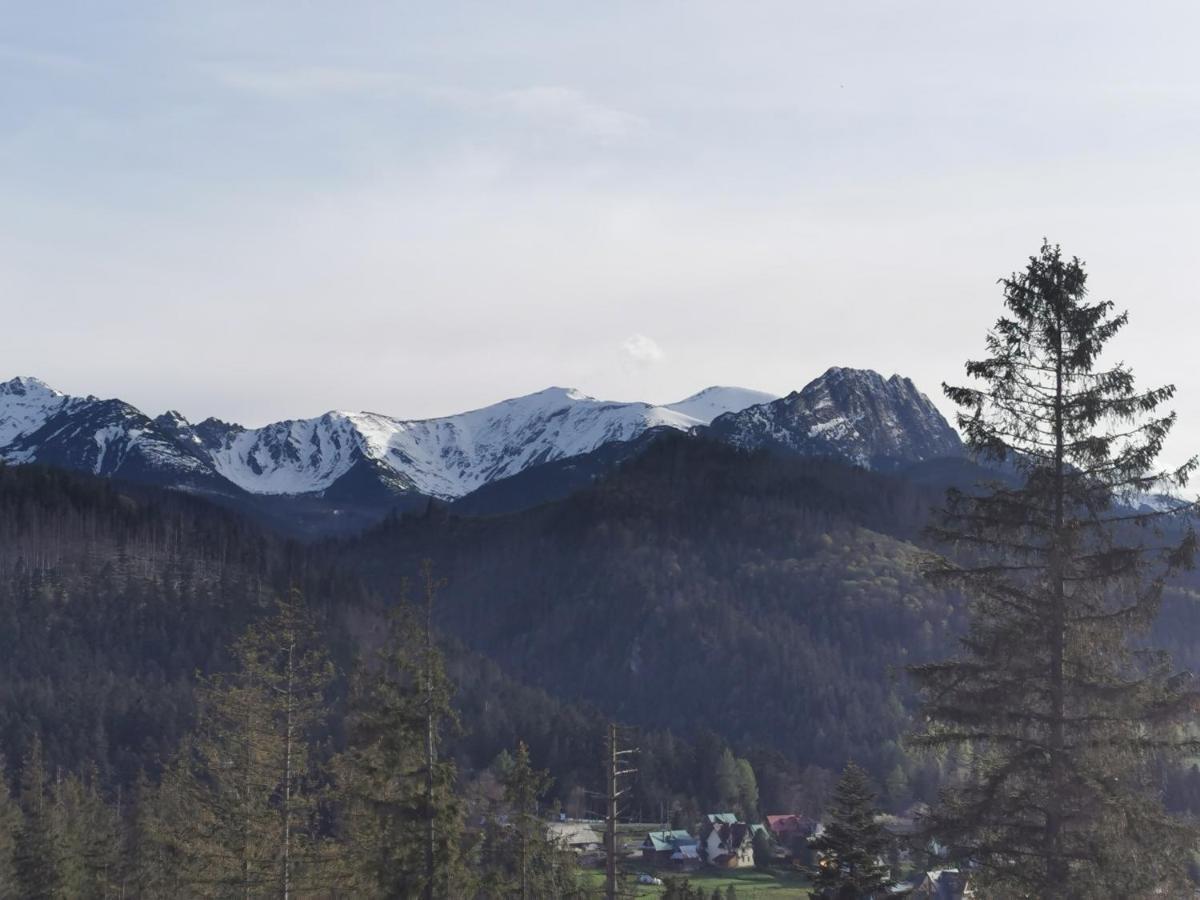 Apartament Z Kogutem Zakopane